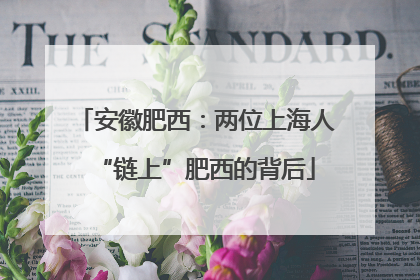 安徽肥西：两位上海人“链上”肥西的背后
