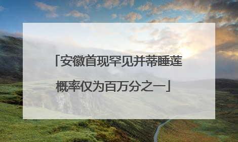 安徽首现罕见并蒂睡莲 概率仅为百万分之一