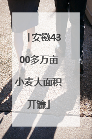 安徽4300多万亩小麦大面积开镰