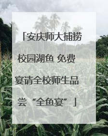 安庆师大捕捞校园湖鱼 免费宴请全校师生品尝“全鱼宴”