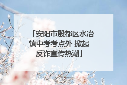 安阳市殷都区水冶镇中考考点外 掀起反诈宣传热潮