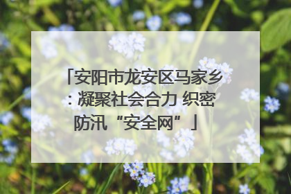 安阳市龙安区马家乡：凝聚社会合力 织密防汛“安全网”