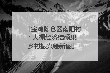 宝鸡陈仓区南阳村：大棚经济结硕果 乡村振兴绘新图