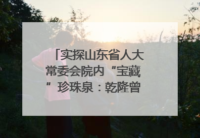 实探山东省人大常委会院内“宝藏”珍珠泉：乾隆曾为它题诗，游客无需预约免费游览