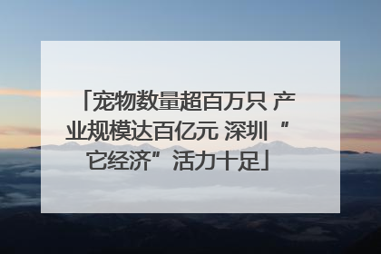宠物数量超百万只 产业规模达百亿元 深圳“它经济”活力十足