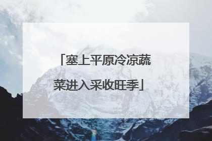 塞上平原冷凉蔬菜进入采收旺季