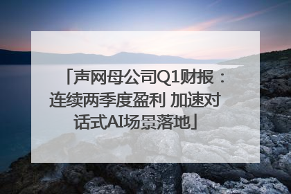 声网母公司Q1财报：连续两季度盈利 加速对话式AI场景落地