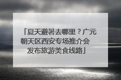 夏天避暑去哪里？广元朝天区西安专场推介会 发布旅游美食线路