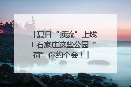 夏日“顶流”上线！石家庄这些公园“荷”你约个会！