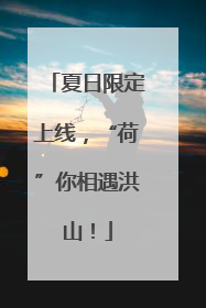 夏日限定上线，“荷”你相遇洪山！