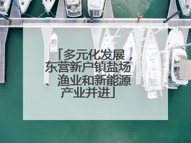 多元化发展，东营新户镇盐场、渔业和新能源产业并进