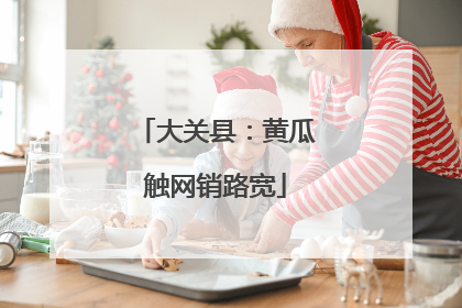 大关县：黄瓜触网销路宽