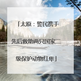 太原：警民携手 先后救助两只国家二级保护动物红隼