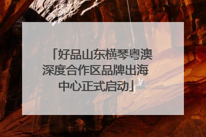 好品山东横琴粤澳深度合作区品牌出海中心正式启动