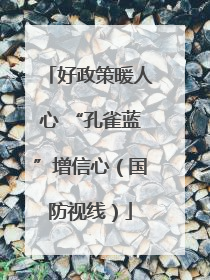 好政策暖人心 “孔雀蓝”增信心（国防视线）