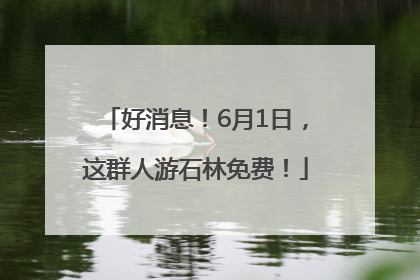 好消息！6月1日，这群人游石林免费！