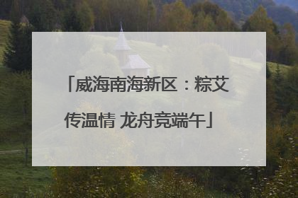 威海南海新区：粽艾传温情 龙舟竞端午