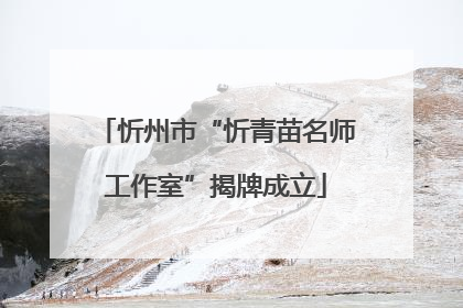 忻州市“忻青苗名师工作室”揭牌成立