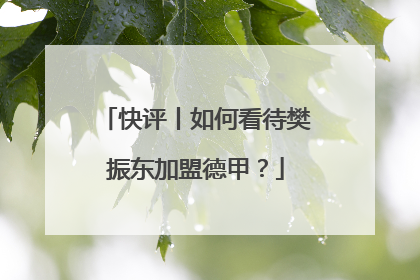 快评丨如何看待樊振东加盟德甲？