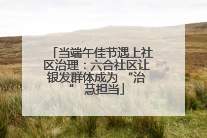 当端午佳节遇上社区治理：六合社区让银发群体成为 “治” 慧担当