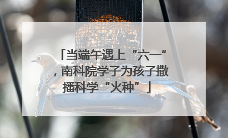 当端午遇上“六一”，南科院学子为孩子撒播科学“火种”