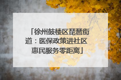 徐州鼓楼区琵琶街道：医保政策进社区 惠民服务零距离