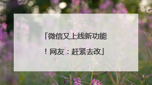 微信又上线新功能！网友：赶紧去改
