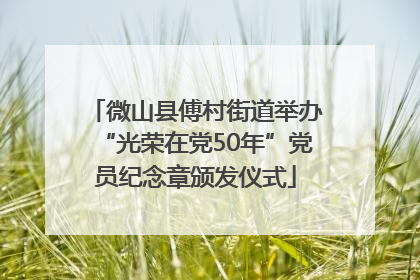微山县傅村街道举办“光荣在党50年”党员纪念章颁发仪式