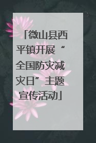 微山县西平镇开展“全国防灾减灾日”主题宣传活动