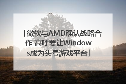 微软与AMD确认战略合作 高呼要让Windows成为头号游戏平台