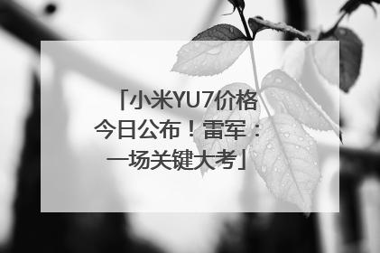 小米YU7价格今日公布！雷军：一场关键大考