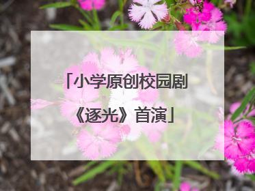 小学原创校园剧《逐光》首演