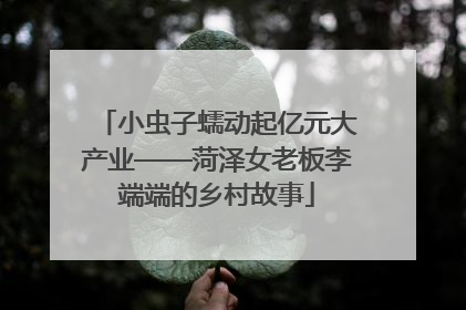小虫子蠕动起亿元大产业——菏泽女老板李端端的乡村故事