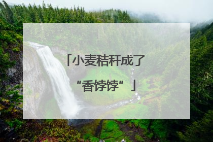 小麦秸秆成了“香饽饽”