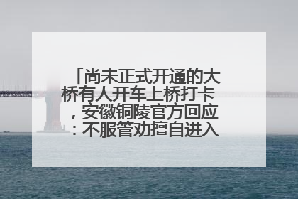 尚未正式开通的大桥有人开车上桥打卡，安徽铜陵官方回应：不服管劝擅自进入，已采取措施