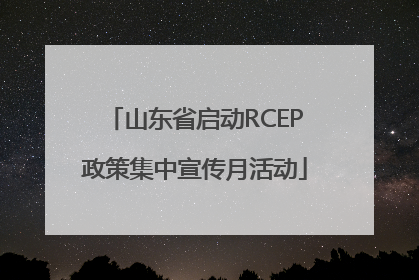 山东省启动RCEP政策集中宣传月活动