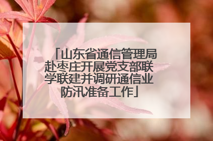 山东省通信管理局赴枣庄开展党支部联学联建并调研通信业防汛准备工作