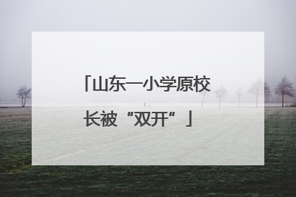 山东一小学原校长被“双开”