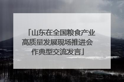 山东在全国粮食产业高质量发展现场推进会作典型交流发言