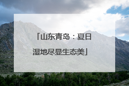 山东青岛：夏日湿地尽显生态美