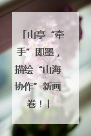 山亭“牵手”即墨，描绘“山海协作”新画卷！