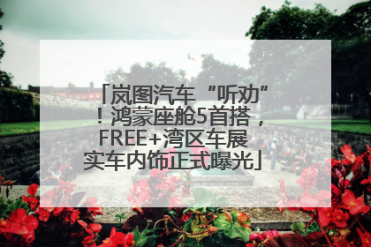 岚图汽车“听劝”！鸿蒙座舱5首搭，FREE+湾区车展实车内饰正式曝光
