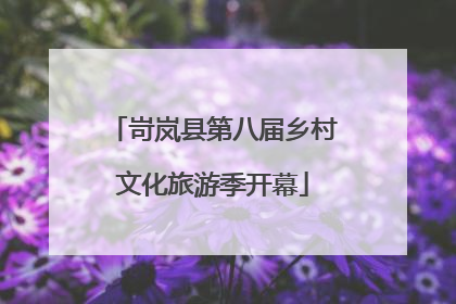 岢岚县第八届乡村文化旅游季开幕
