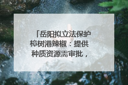 岳阳拟立法保护樟树港辣椒：提供种质资源需审批，违规最高罚5万
