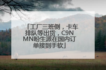 工厂三班倒，卡车排队等出货，C9NMN盼生派在国内订单接到手软