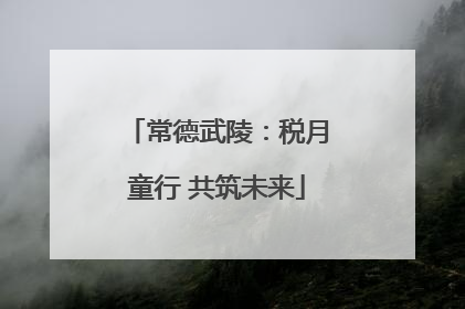 常德武陵：税月童行 共筑未来