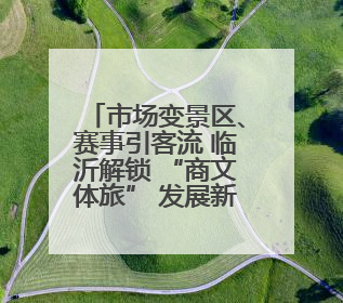 市场变景区、赛事引客流 临沂解锁 “商文体旅” 发展新路径