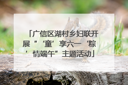 广信区湖村乡妇联开展“‘童’享六一‘粽’情端午”主题活动