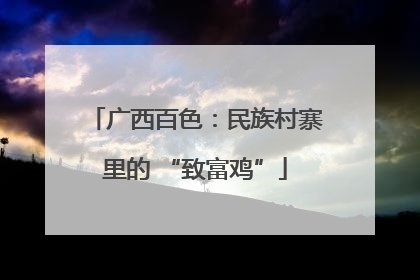 广西百色：民族村寨里的 “致富鸡”