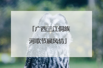 广西三江侗族河歌节展风情